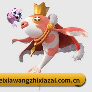 专业赛事服务, 为你而来